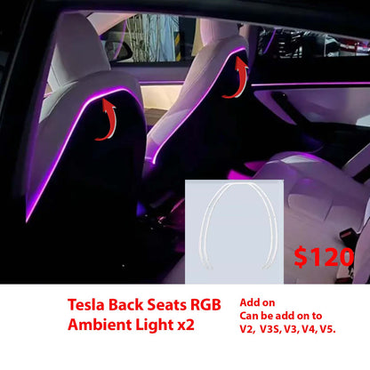 Model 3 Model Y Highland Juniper Acrylic Ambient Lights Auto ON Off with installation
