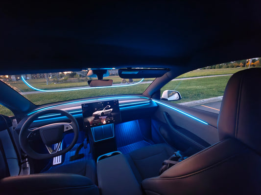 2026+ Model y standard range Acrylic Ambient Lights Auto ON Off with installation
