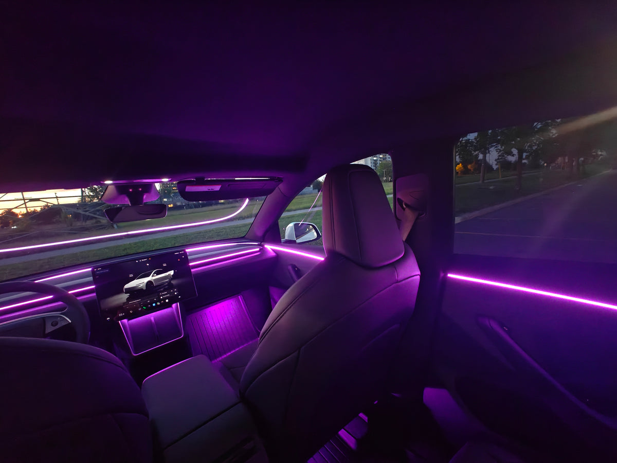 2026+ Model y standard range Acrylic Ambient Lights Auto ON Off with installation
