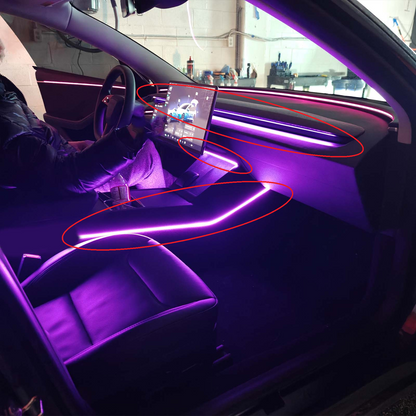 Model 3 Model Y Highland Juniper Acrylic Ambient Lights Auto ON Off with installation